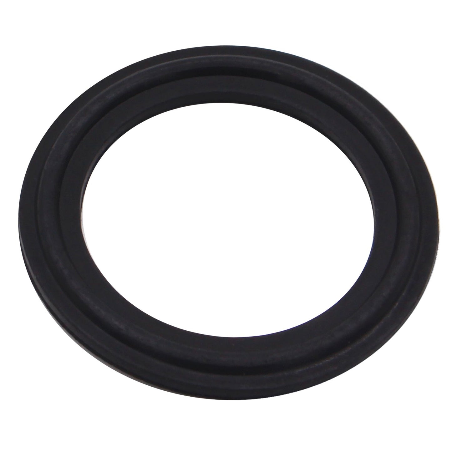 Viton Gasket