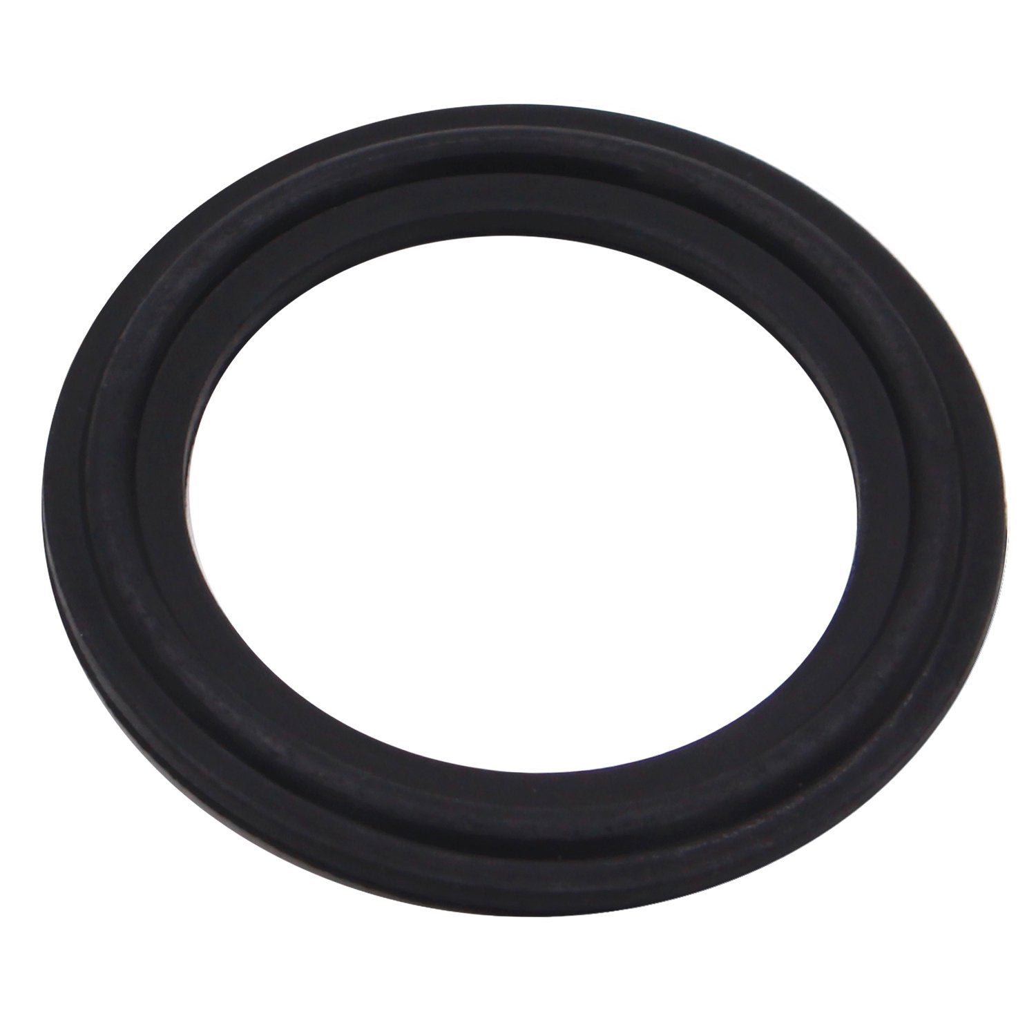Viton Gasket